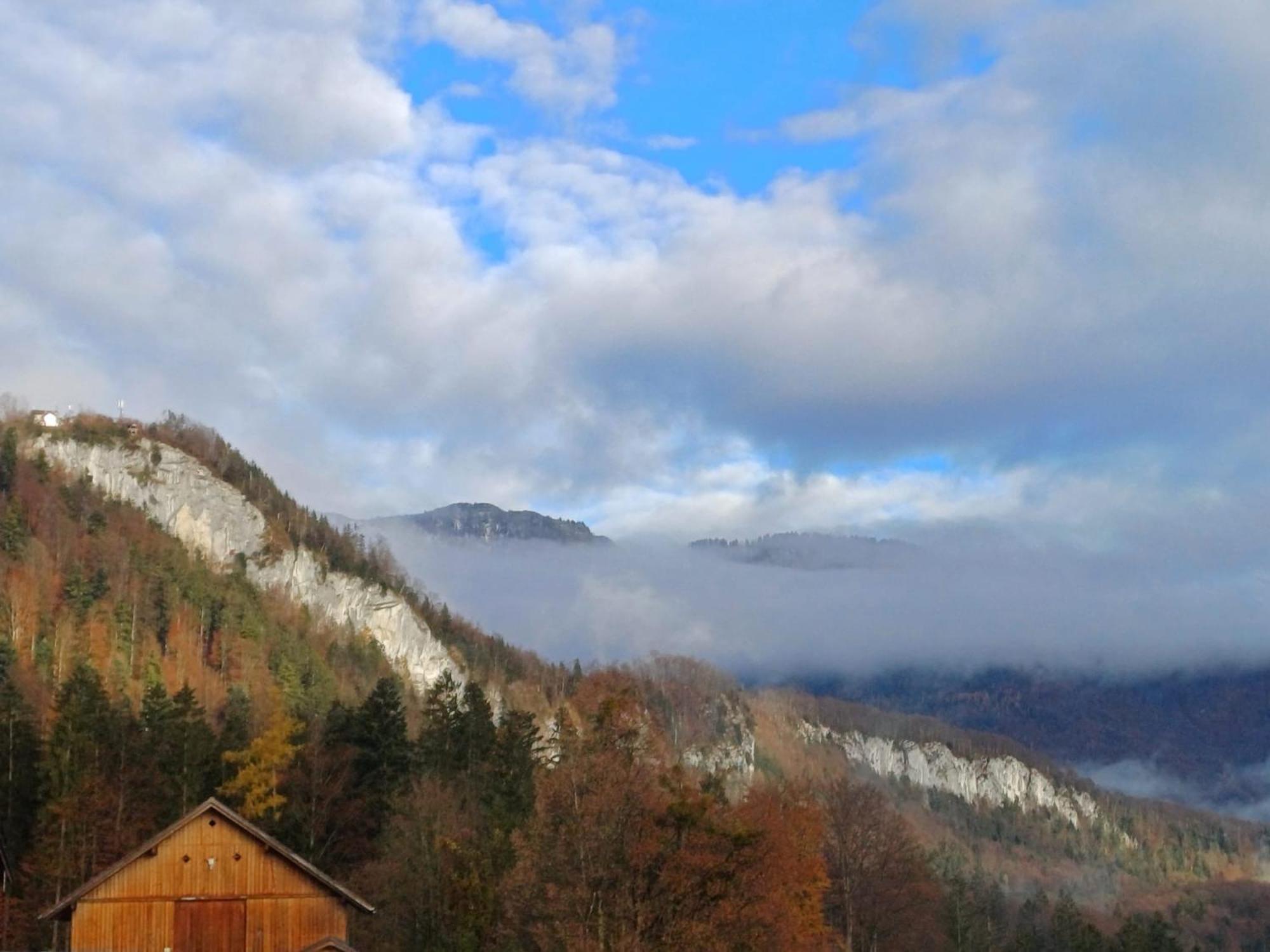 Goisererglueck Bad Goisern Exteriör bild